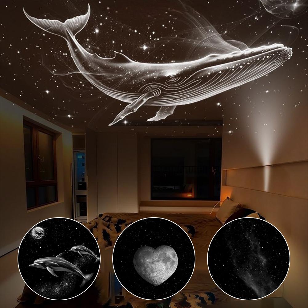 แผ่นฟิล์มโปรเจคเตอร์กาแล็กซี่เ - Projector Lamp Replacement บทวิจารณ์และราคา
